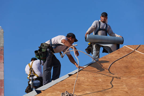 Best Roof Maintenance Services  in Richardson, TX